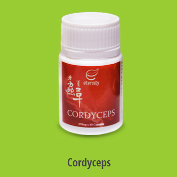 Cordyceps - or Dong Chong Xia Cao or Semitake medicinal mushroon extract